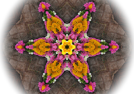 624524 (a): :2226x1568
